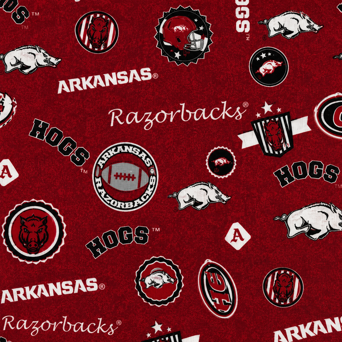 Arkansas Razorbacks